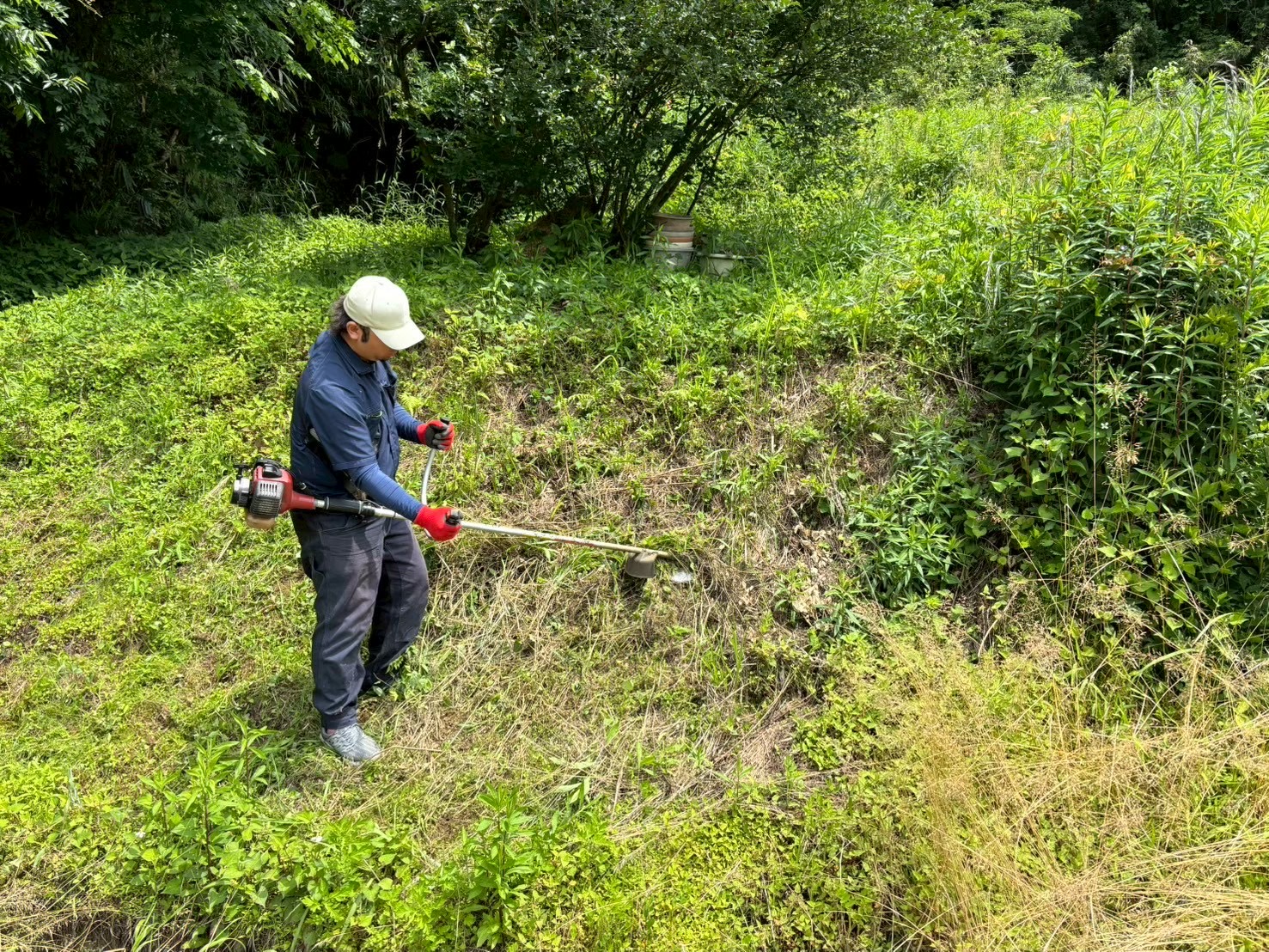 🌟 生活の困りごとを窓口一つで解決！北陸密着の柔軟なワンストップ代の写真