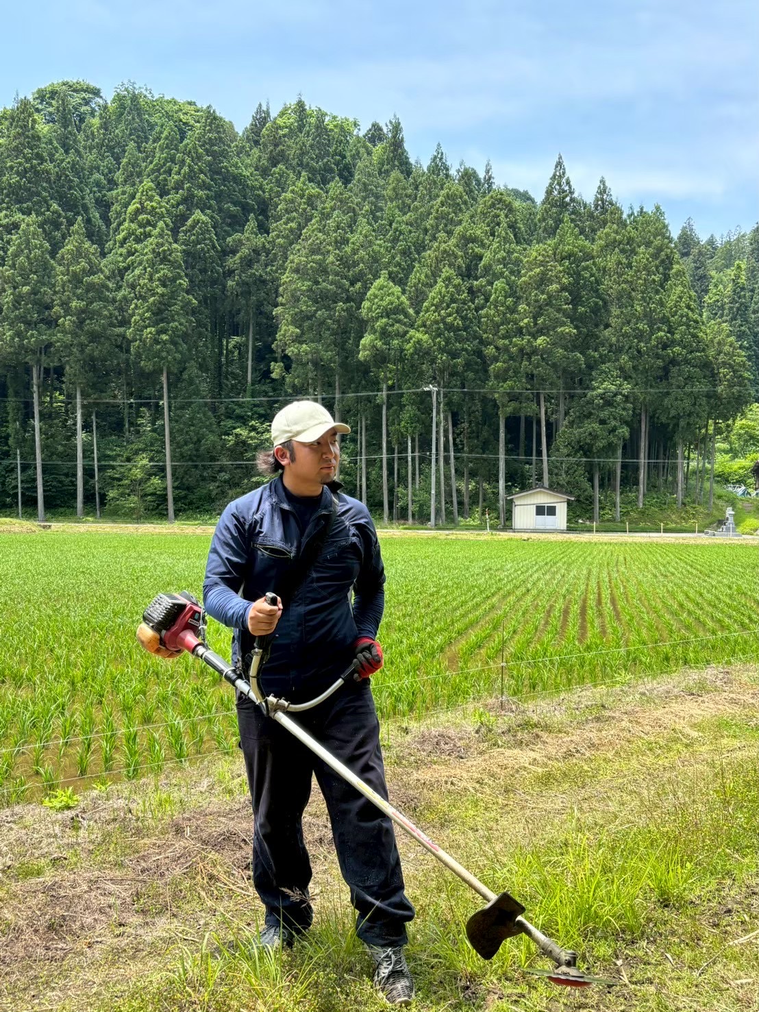 【丸投げOK】顧客満足度重視！草刈り・雑草処分込みでスッキリ解決プランの画像