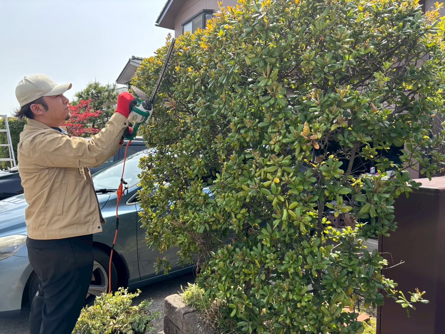 【北陸密着】庭木の剪定・お手入れ！お客様満足度重視！時間外対応相談可能！の画像